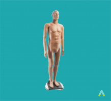 фото - Манекен для демонстрації одягу