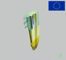 фото - Модель Поздовжній розтин кореня