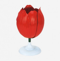 фото - Модель квітки тюльпана