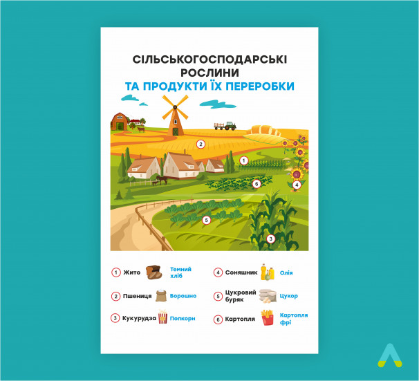 Плакат "Сільськогосподарські рослини та продукти їх переробки" - фото