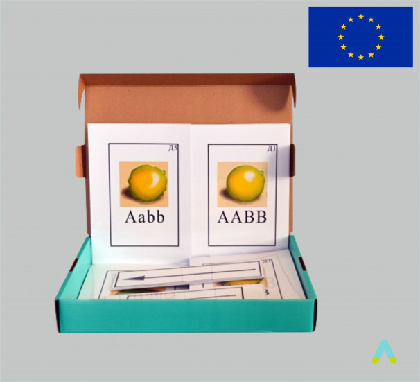 Модель-аплікація "Дигібридне схрещування" - фото