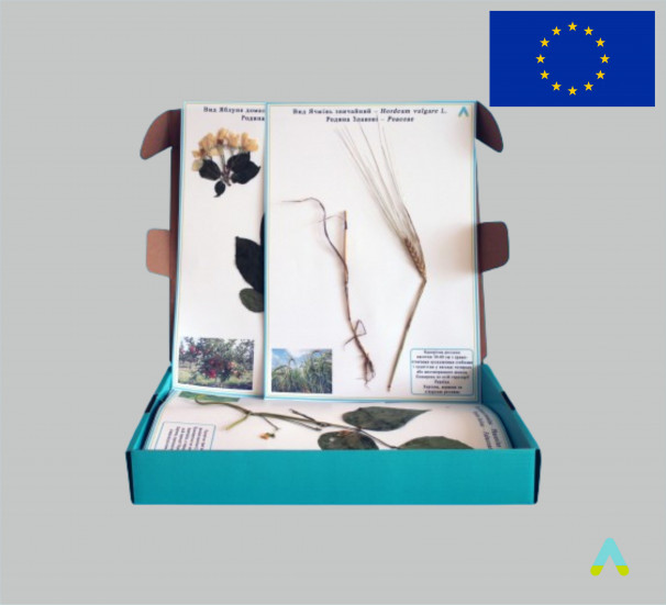 Гербарій "Сільськогосподарські рослини" - фото